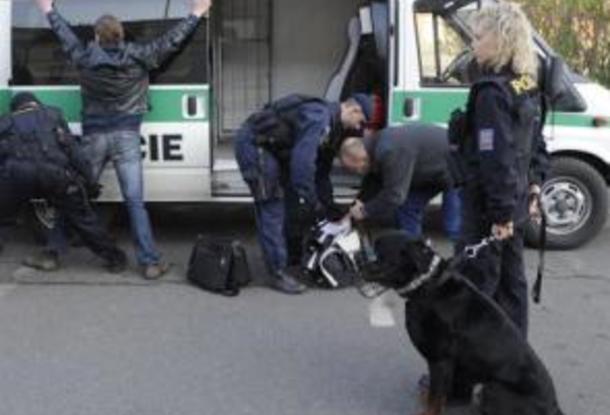 В ходе однодневной акции чешской полиции по контролю иностранцев было заплачено штрафов на сумму 130 тысяч крон