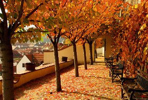Praha_autumn