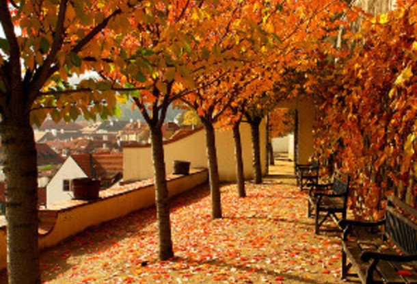 Чем заняться осенью в Праге