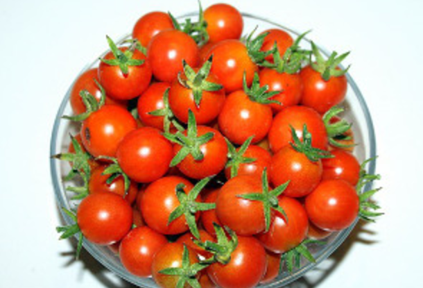 Продовольственная инспекция просит не покупать помидоры черри из Марокко