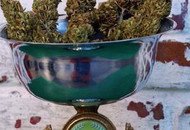 Cannabis_cup_prazdnik