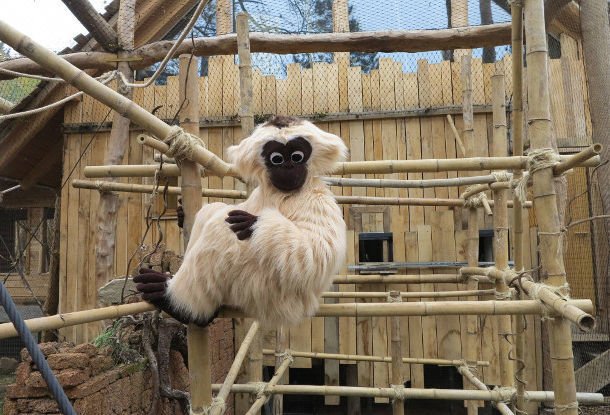 В Йиглавском зоопарке открыли новый павильон