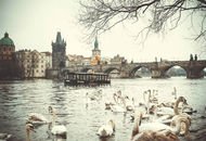 Национальный музей проведет бесплатные экскурсии по Праге