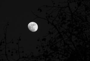 Luna_astronomia_chehia
