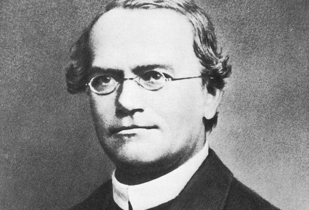 Иоганн Грегор Мендель – брненский Дарвин и родоначальник генетики