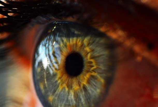 Чешские ученые разработали уникальный метод лечения поврежденной роговицы глаза 