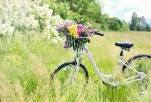 Bicycle-788733_960_720