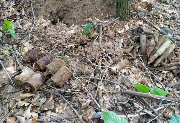 Возле туристической дорожки в пражском парке лежали гранаты и боеприпасы