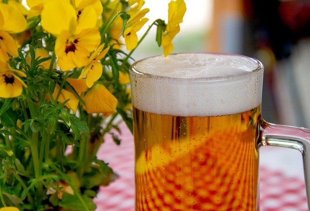 Пиво на Наплавке: Фестиваль чешских мини-пивоварен в Праге