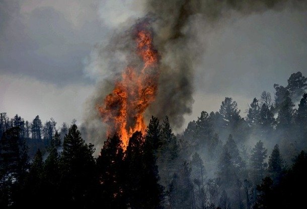 В Чехии горят леса, объявлен наивысший уровень опасности