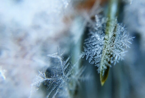 Летние морозы: в Чехии зафиксирована минусовая температура