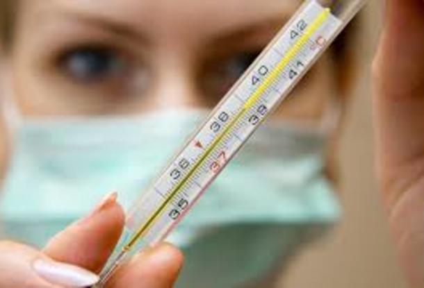 В Чехии 12 человек умерли от гриппа