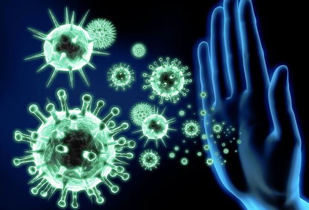 Чешские ученые придумали лекарство для укрепления иммунитета