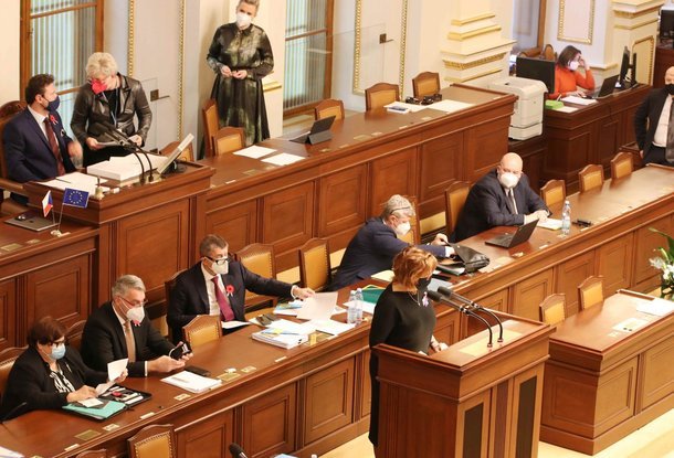 Палата депутатов Чехии обсудит выплаты пособий