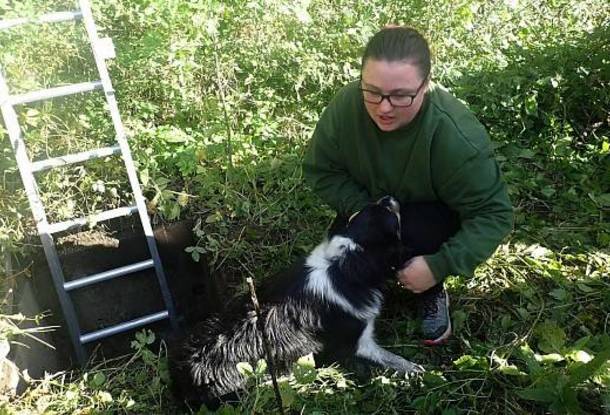 В Чехии пожарные спасли собаку, упавшую в бетонную шахту