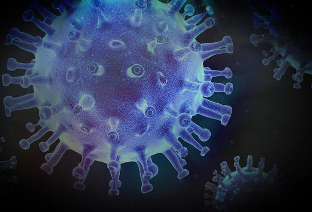 Подтвержден первый случай заражения новой мутацией коронавируса в Чехии