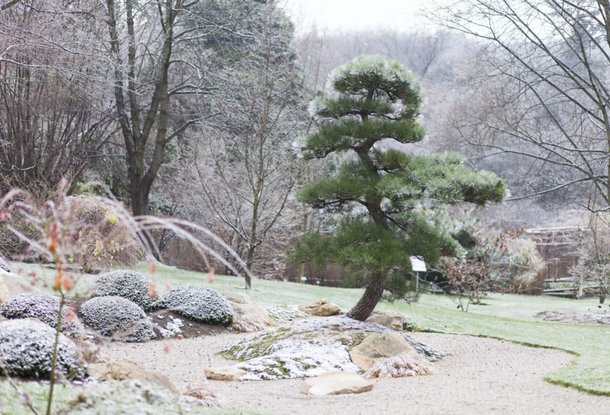 Вход в Ботанический сад в пражском районе Троя будет бесплатным до конца февраля