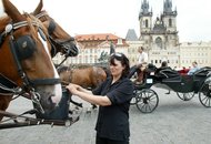 С 2023 года из центра Праги исчезнут конные экипажи