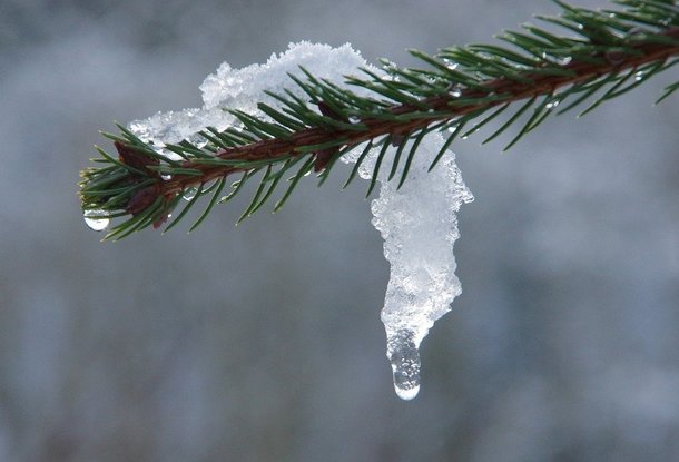 Метеорологи в Чехии предупредили о гололеде и сильном снегопаде