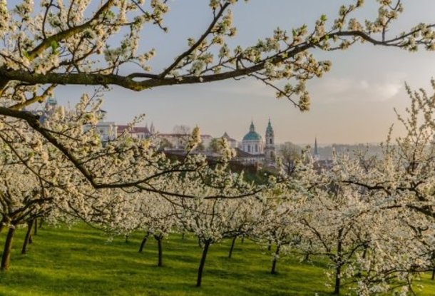 Весна продлится до конца недели, с 28 марта в Чехии похолодает