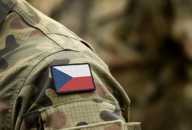 Земан разрешил чехам служить в украинской армии