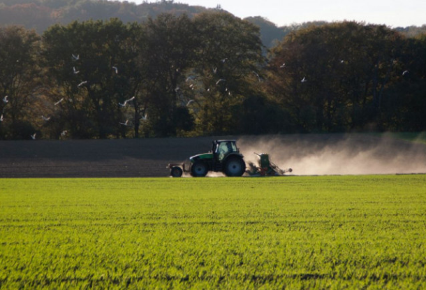 Европейский союз призывает Чехию сократить использование пестицидов. Чехия утверждает, что уже сделала достаточно