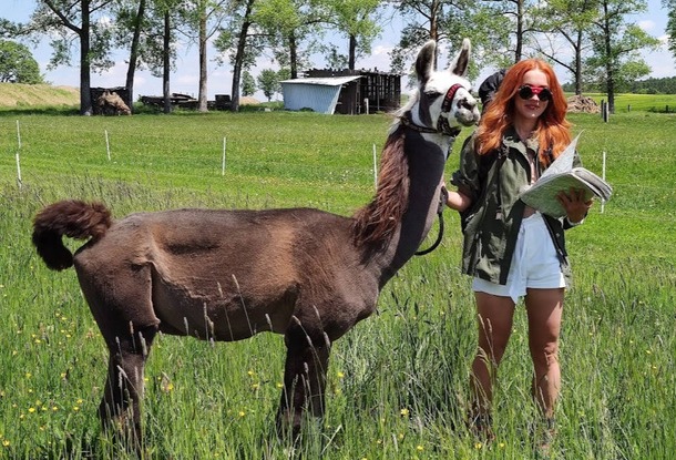 Где в Чехии можно выйти на прогулку с ламой или покататься на верблюде?