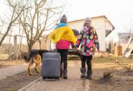20% беженцев в Чехии не проживают по зарегистрированным адресам