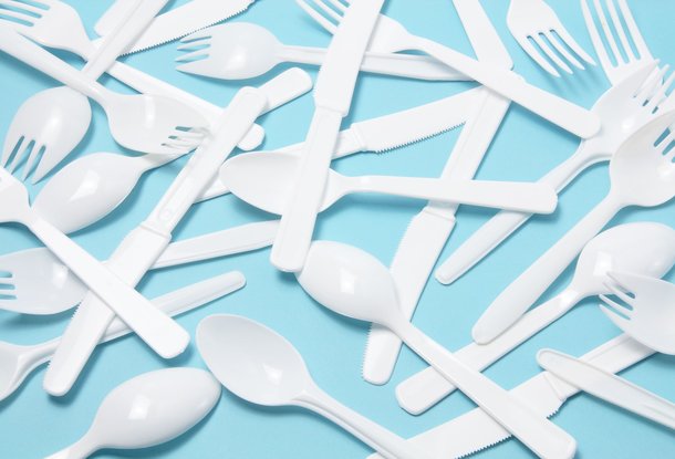 Сенат Чехии одобрил запрет на пластиковые столовые приборы, тарелки или соломинки