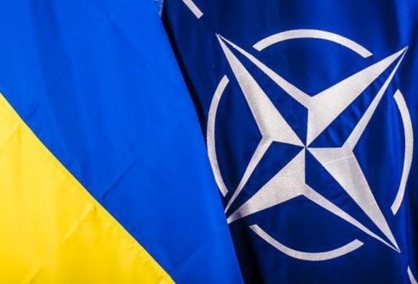 Президенты стран ЕС, в том числе Земан, поддержали вступление Украины в НАТО