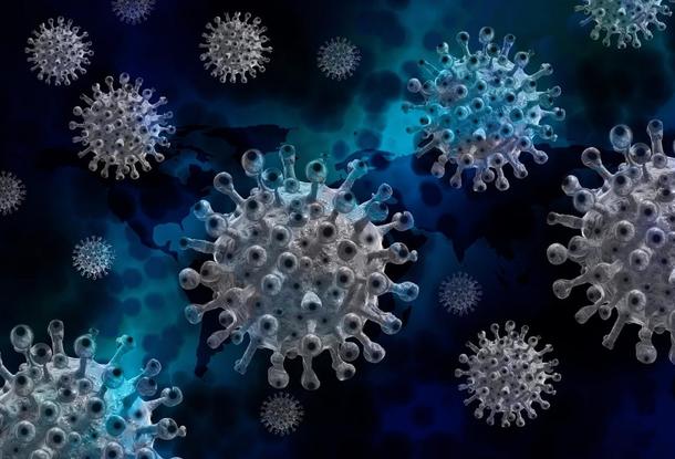 Кракен — новая мутация коронавируса — стремительно распространяется в мире