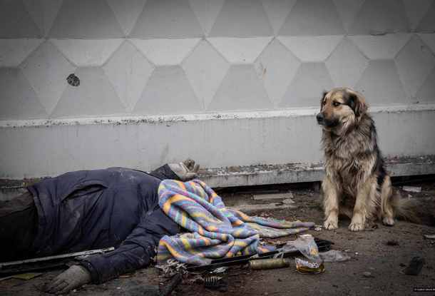 Победителем конкурса Czech Press Photo 2022 стала фотография «Резня в Буче»