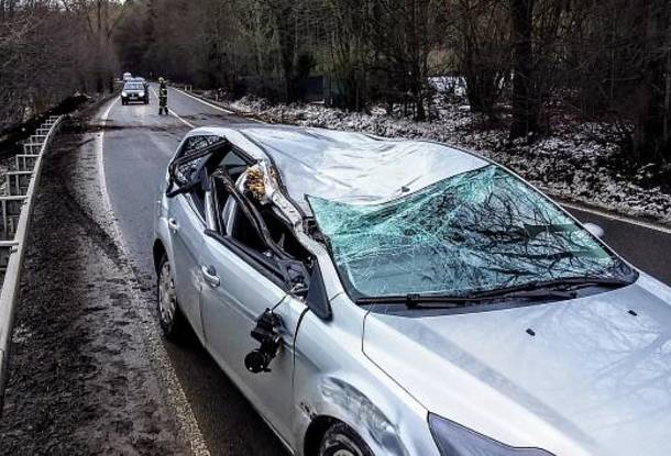 ФОТО: ветер и снег ломают деревья по всей Чехии, ветви падают на шоссе