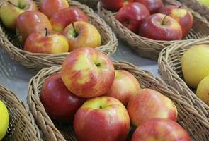 Degustace-jablka-brambory-tr15-1801-4_denik-630-16x9