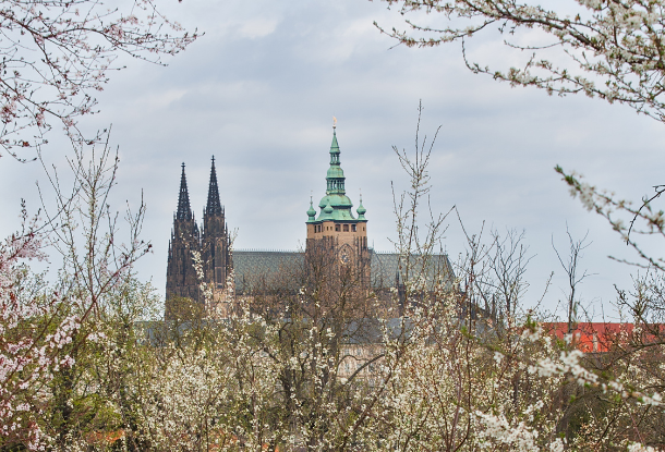 7 причин посетить Прагу весной