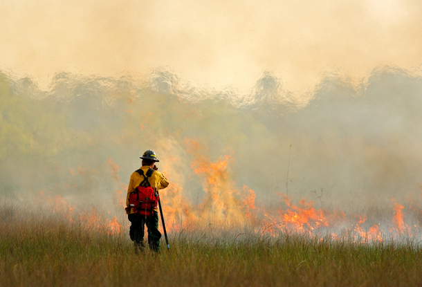 В Чехии — угроза лесных пожаров, предупреждают метеорологи